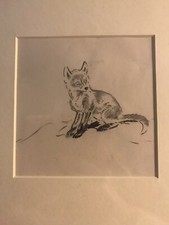 Eileen Soper RMS SWLA (1905-1990) Framed Pencil Sketch of ‘Young Fox’ Unsigned