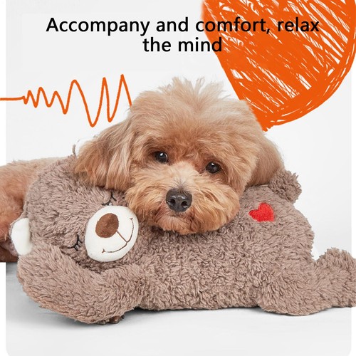 Pet dog puppy separation - pet,