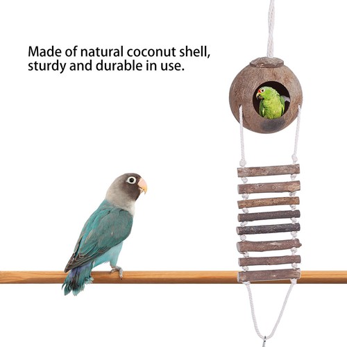 Coconut shell bird - shell,