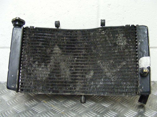Cbr900 fireblade radiator rad - fireblade,