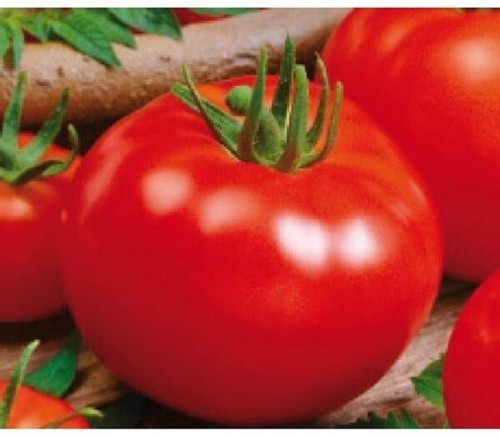 Tomato campbell 50 seeds - -,