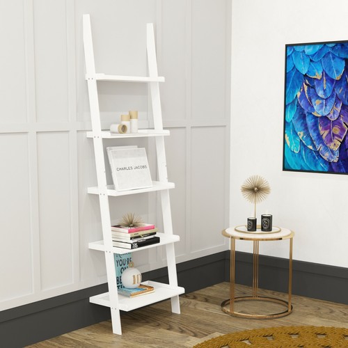 Ladder shelving unit - shelving,