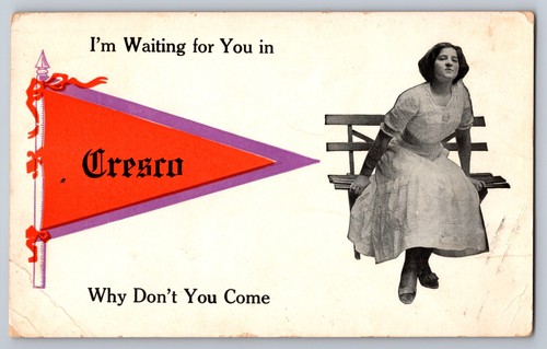 Cresco iowa postcard c1910s - cresco,