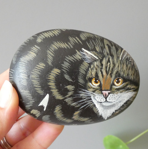Hand painted tabby cat - painted,
