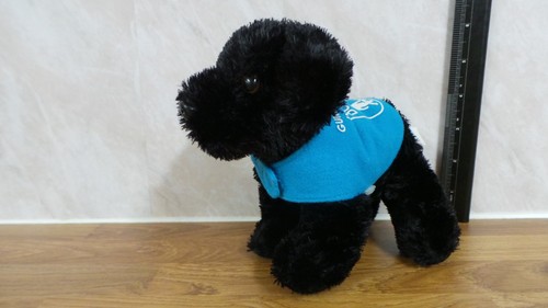 Black labrador guide dog - 5",