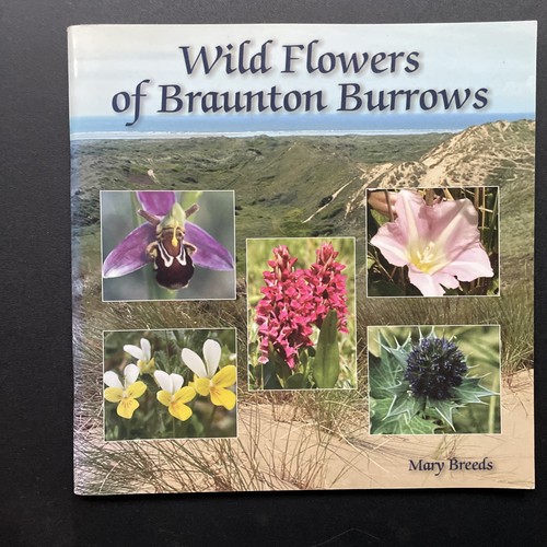 Wild flowers braunton - of,