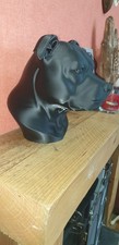 Printed staffordshire bull - staffordshire,