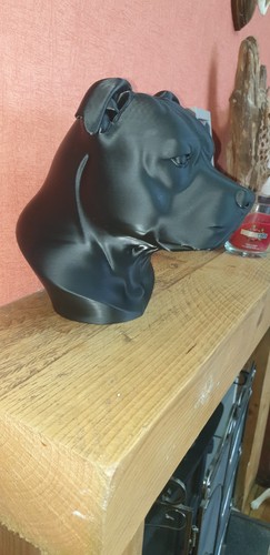 Printed staffordshire bull - 3d,