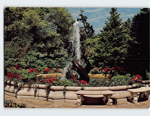 Postcard dolphin fountain the - postcard,