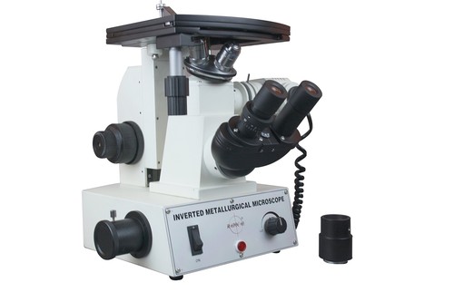 Radical 1200x inverted - 1200x,
