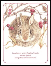 Greeting Card - Rabbit -