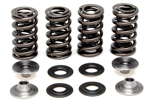 Valve spring set rmz250 - rmz250, 04-06