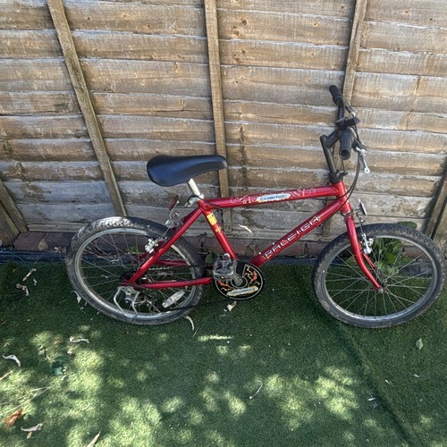 Raleigh flair bmx bike 20in - raleigh,