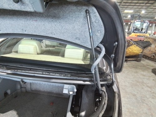 Boot tailgate support - boot,