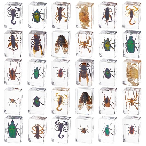 Pcs insect resin - 30,