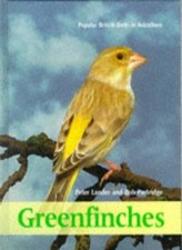 Greenfinches popular british - greenfinches:,