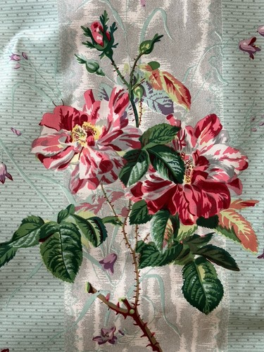 Colefax fowler gallica - colefax, &