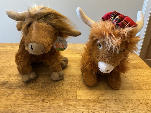 Scottish highland cow - 2,