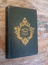 Microscopic Fungi Rust  Smut