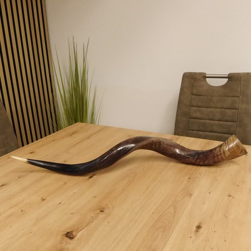 Piece kudu outdoor horn - 1,