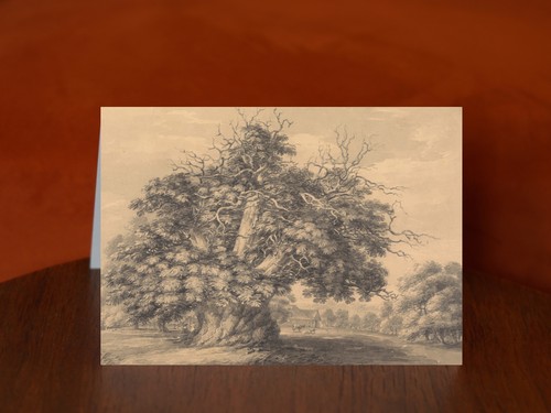 The chestnut tree little - at,