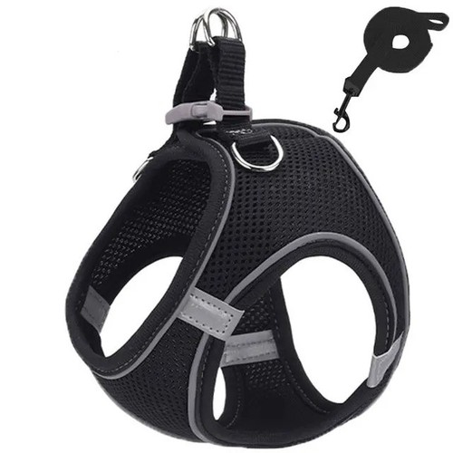 Everyday dog harness - dog,