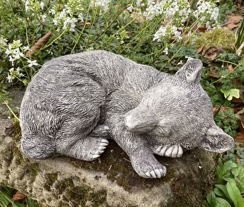 Stone garden curled - garden, up