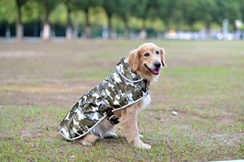 Dogs raincoat waterproof - raincoat,