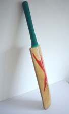 Cricket bat  - Slazenger V100
