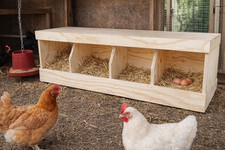 Wooden Bantam Chicken Nesting