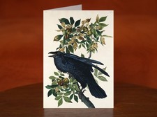 Raven - Art Print Card, A5