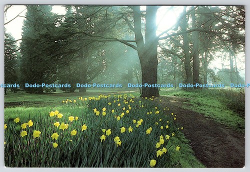 L363340 the pinetum - l363340,