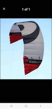 Peter Lynn gurilla 15m2 Twin Skin Kite