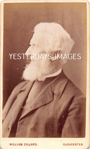 Old man white beard hair - man,