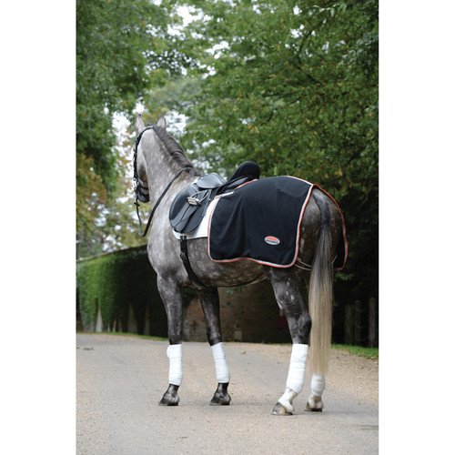 Weatherbeeta horse therapy - horse, therapy-tec