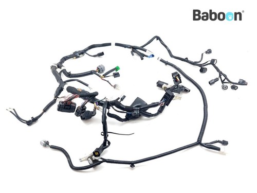 Wiring harness suzuki - wiring, (main)