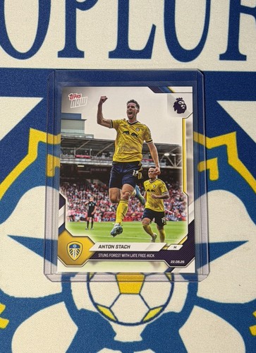 Anton stach leeds - stach, v