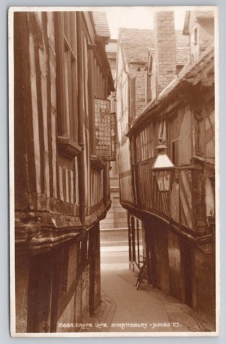 Grape lane shreyysbury - grape,