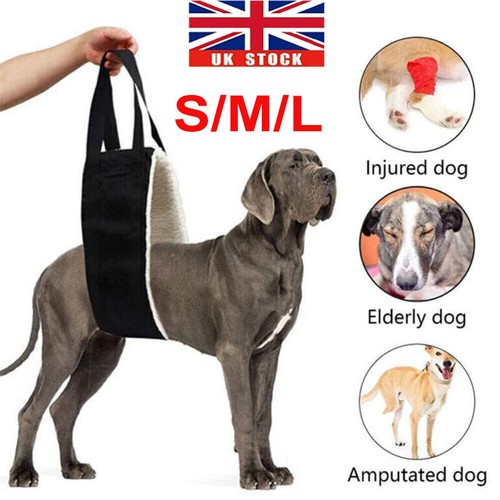 Pets dog mobility - dog,