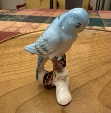 Porcelain Budgie Blue Bird