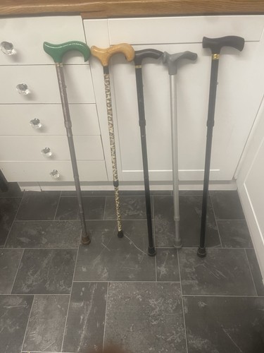 Walking sticks - walking,