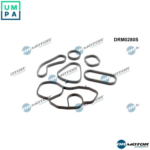 Gasket set oil - gasket,