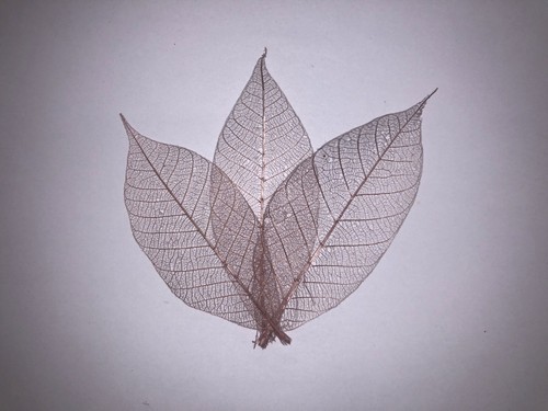 Impex creative crafts - impex,
