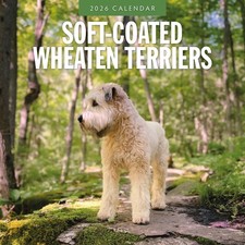 Soft-coated Wheaten Terriers 2026 Square Wall Calendar