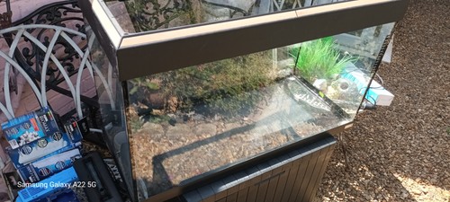 Fuval 100 litre fish tank - fuval,