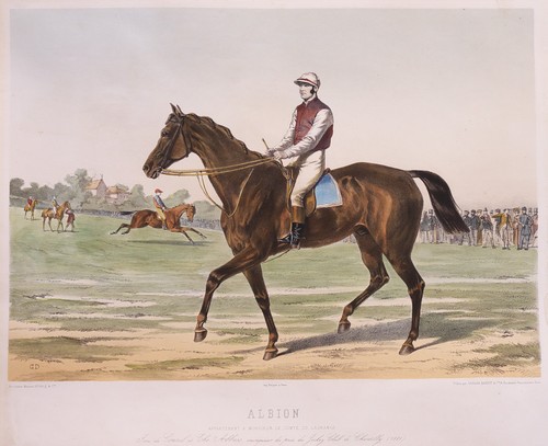 Stunning lithograph the - stunning,