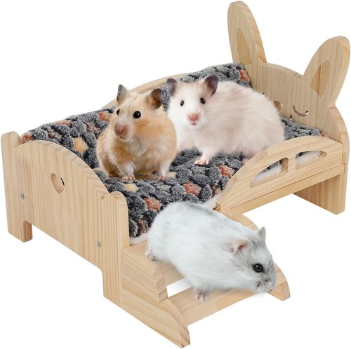 Wooden guinea pig house with - pig,