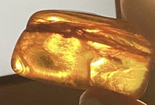 4 Cm Very Old Amber Baltic