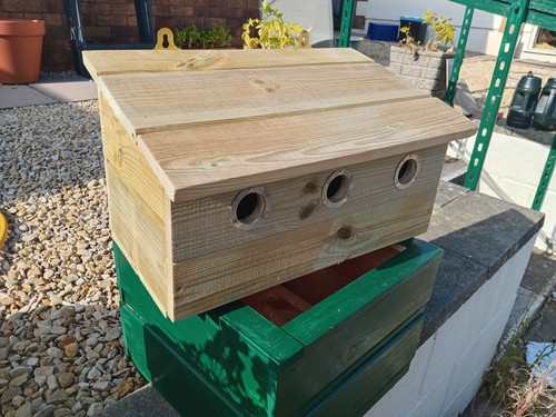 Sparrow colony nest - box, house