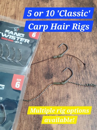 Classic carp fishing - 5,